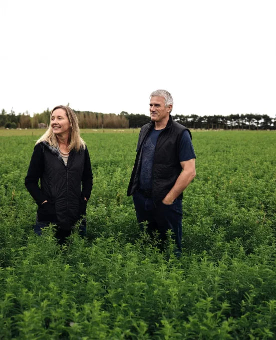 Maury Leyland and John Penno standing in an alfalfa crop