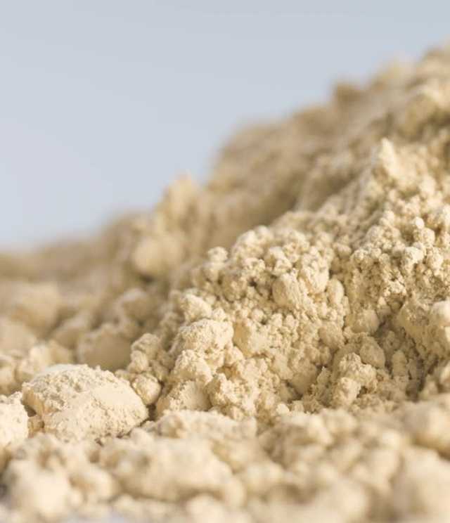 Rubisco protein powder leaft