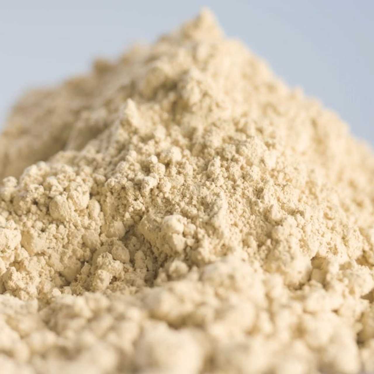 The Secret to Sustainable Protein: How Rubisco Is Revolutionizing the Food Industry